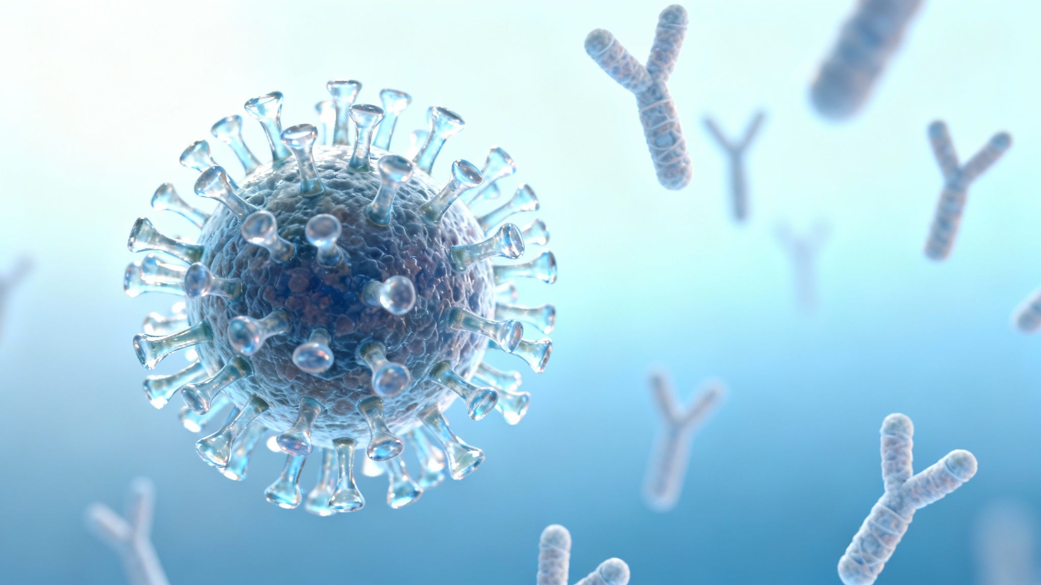 What Are Neutralizing Antibodies: A Clear Primer on Immune Defense